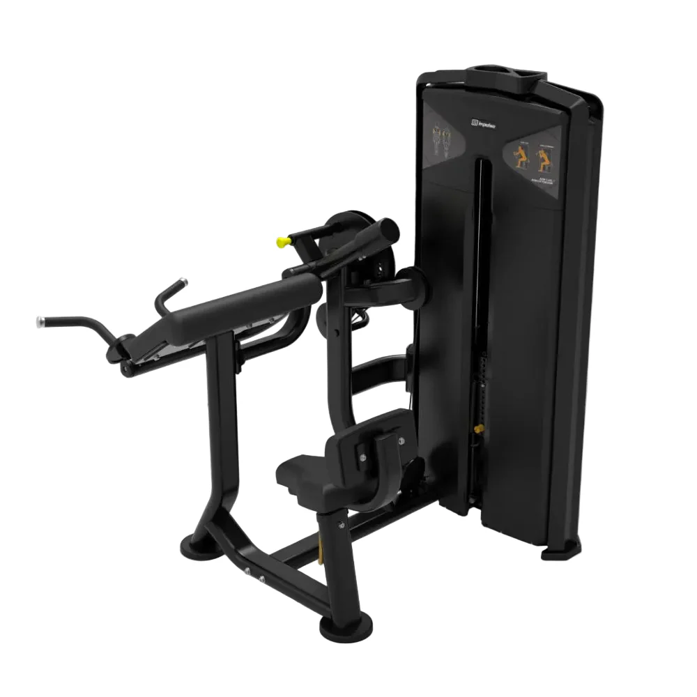 Impulse VX  Commercial Bicep Curl/Tricep Extension Machine - Image 2